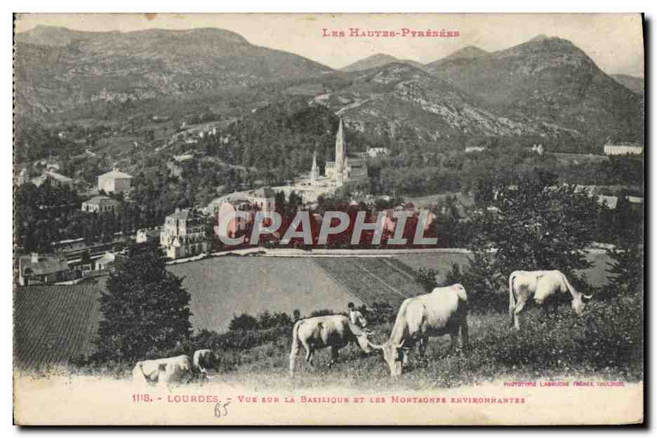 CPA Lourdes Vue Sur La Basilique et les montagnes environnantes Vaches