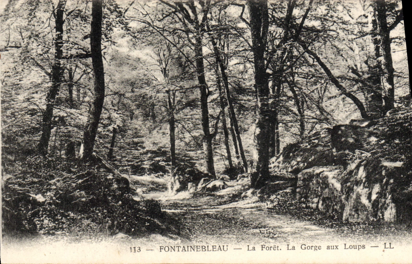Fontainebleau — La Forêt. La Gorge aux Loups — LL