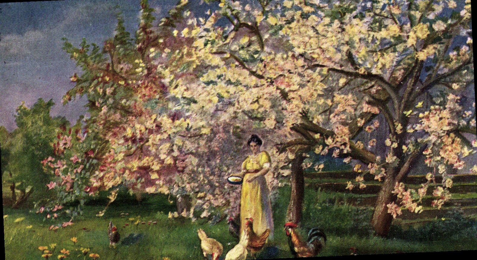 CPA Femme Coq 
