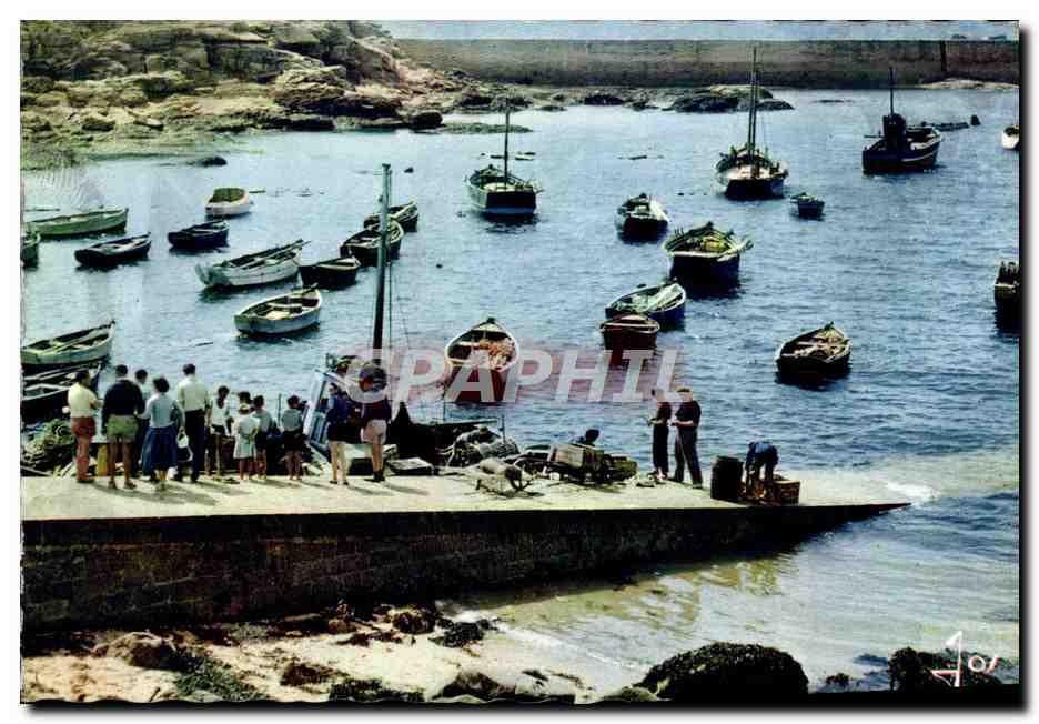 CPM La Bretagne en Couleurs Petit Port de pache sur la Cote Bretonne 