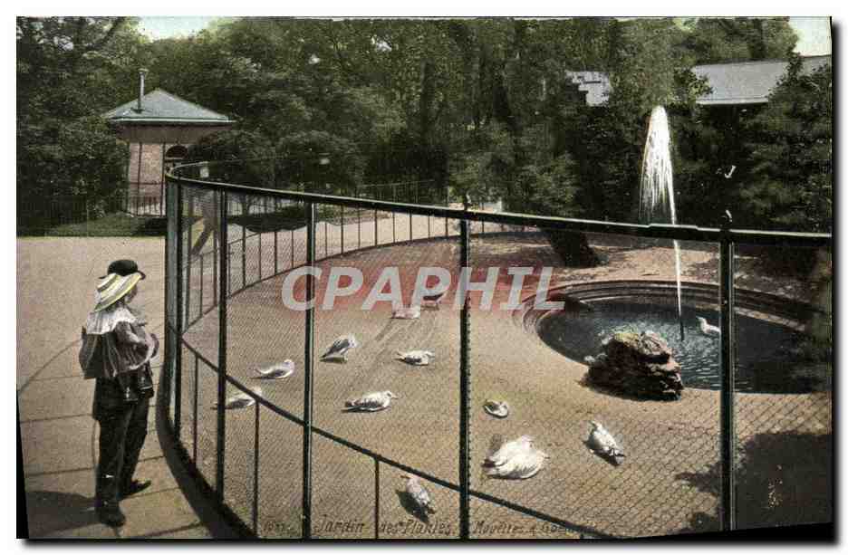 CPA Paris Jardin Les Plantes Mouettes