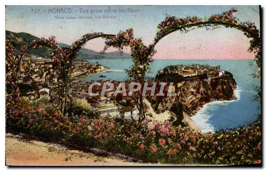 CPA Monaco Vue Prise Entre Les Fleurs
