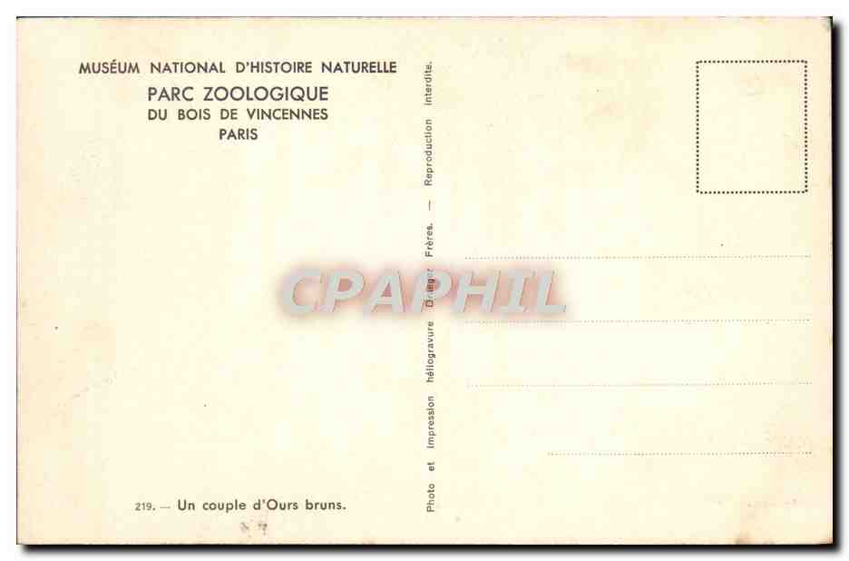 CPA Paris Parc Zoologique Du Bois De Vincennes Un couple d'ours bruns — Rückseite