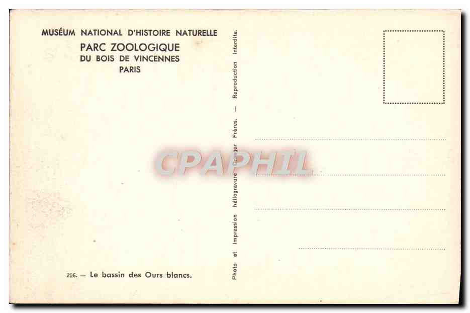CPA Paris Parc Zoologique Du Bois De Vincennes Le bassin des ours blancs — Rückseite