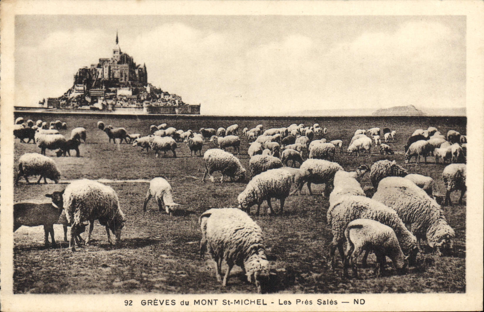 CPA Greves du Mont St Michel Les Pres Sales Moutons