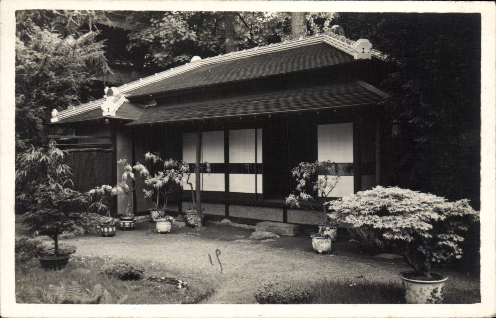 CPA Paris Jardins de Boulogne Bonsai