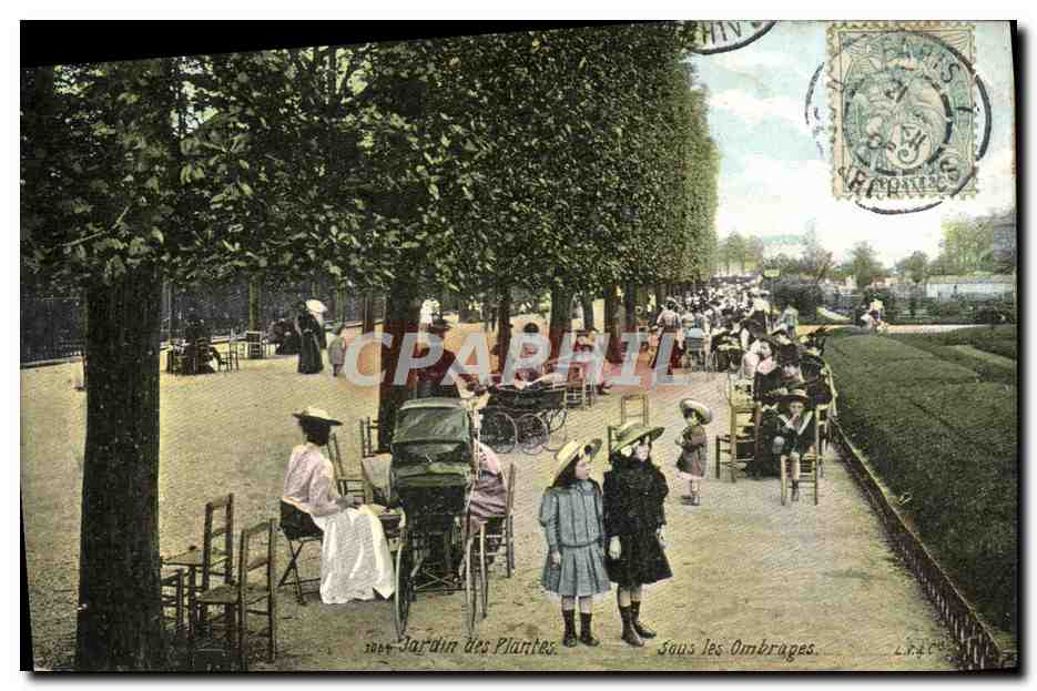 CPA Paris Jardin des Plantes Sous les Ombrages Enfants