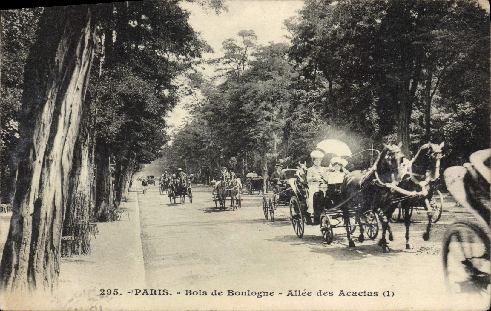 CPA Paris Bois de Boulogne Allee des Acaias