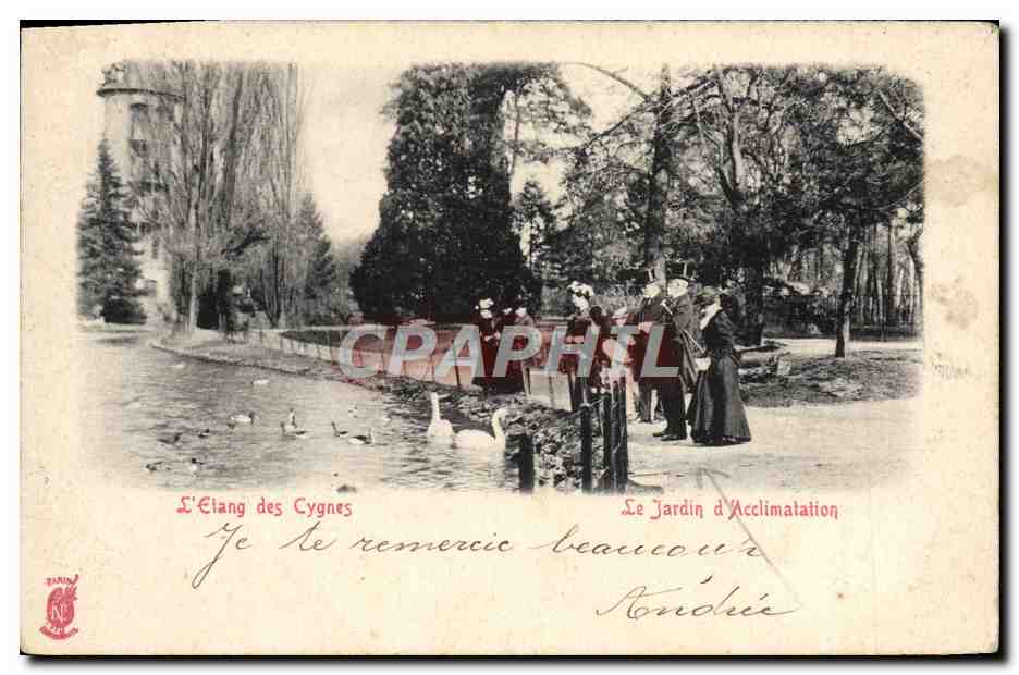 CPA Paris L'etang des cygnes Le jardin d'acclimatation