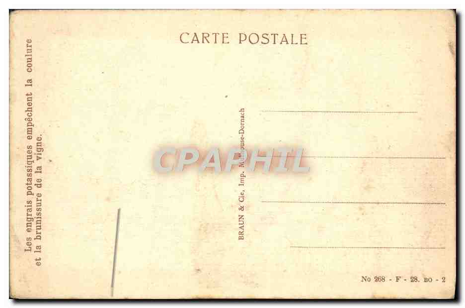 Mulhouse — L'Hôtel des Postes et le Pont du Canal — Braun & Cie, Mulhouse-Dornach, No 268 — Verso