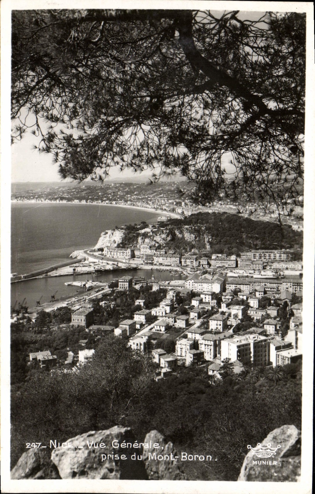 CPM Nice Vue Generale Prise Du Mont Boron