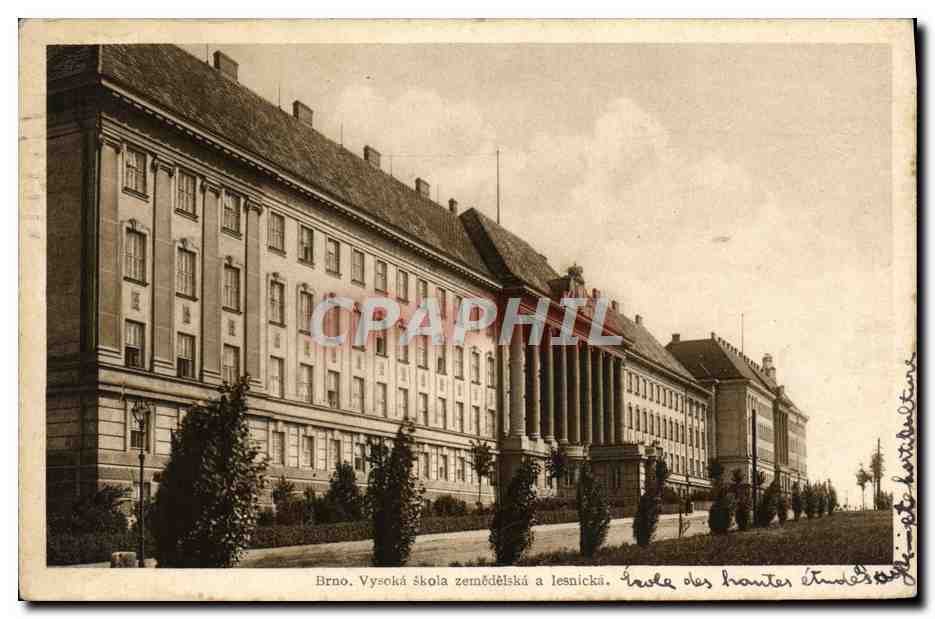 CPA Brno Vysoka Skola Zemodelska Lesnicka Ecole des Hautes Etudes