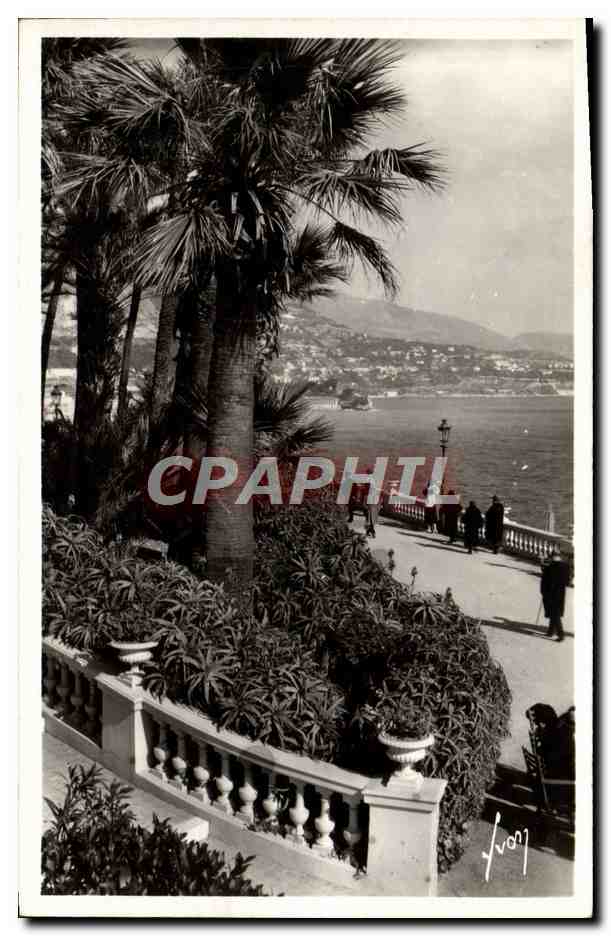 CPM Cote D'Azur Monte Carlo La Terrasse De Casino