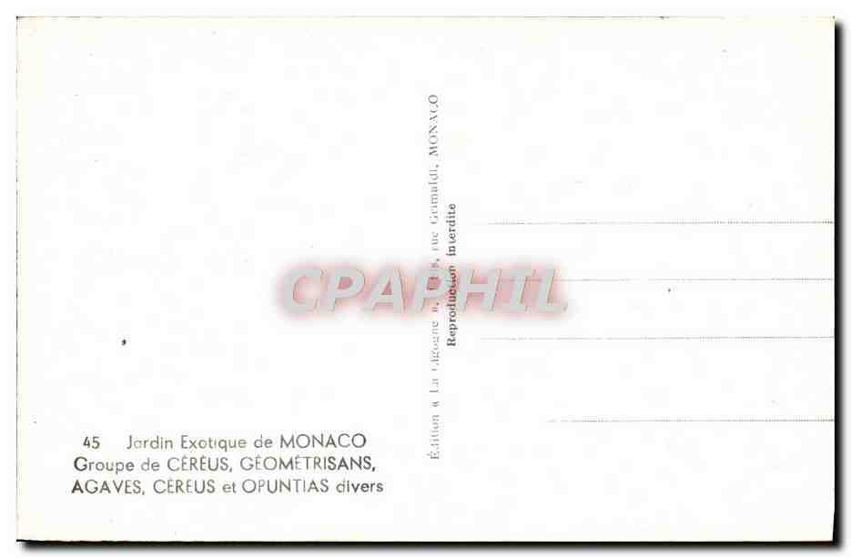 CPM Jardin Exotique De Monaco Groupe de Cereus Geometrisans Agaves Cereus et Opuntias divers — Verso