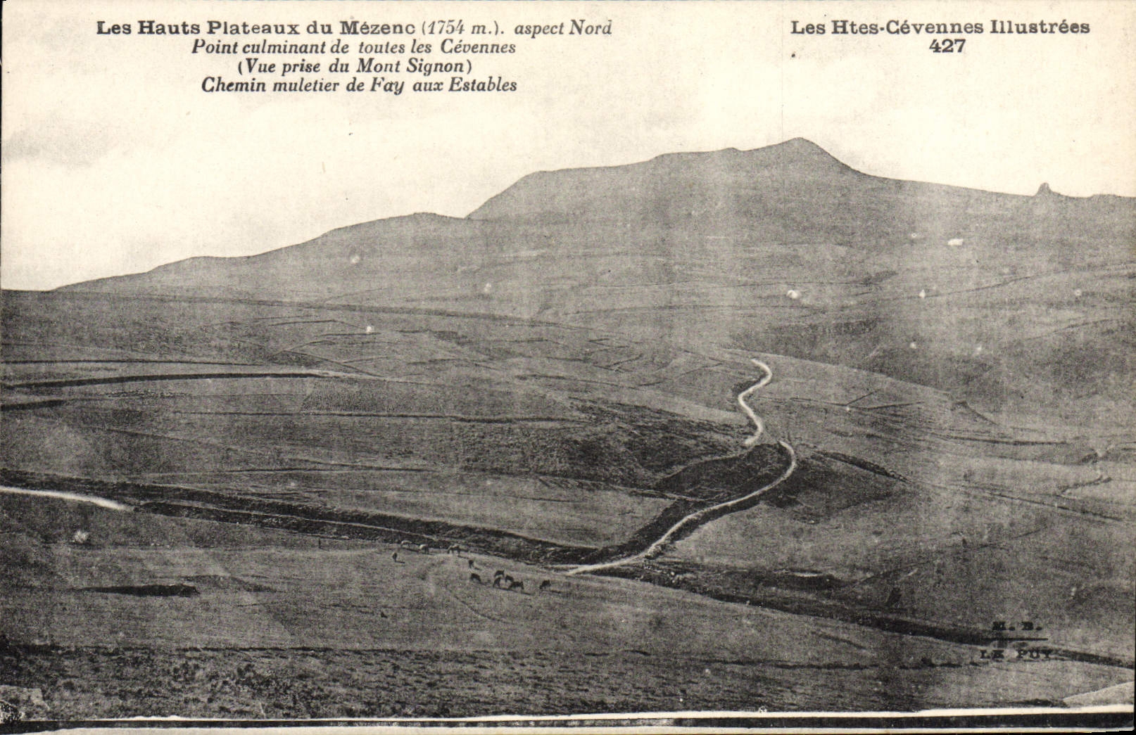 CPA Les Hauts Plateaux Du Mezenc Point culminant de toutes les Cevennes Vue prise Mont Signon Muletier Fay aux Estables