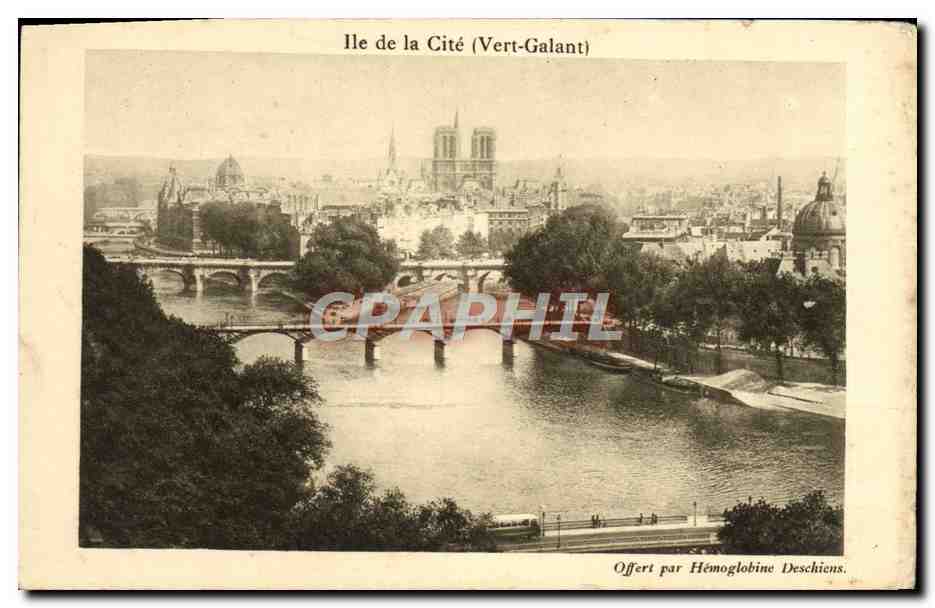 CPA Paris Ile de la Cite Vert Galant