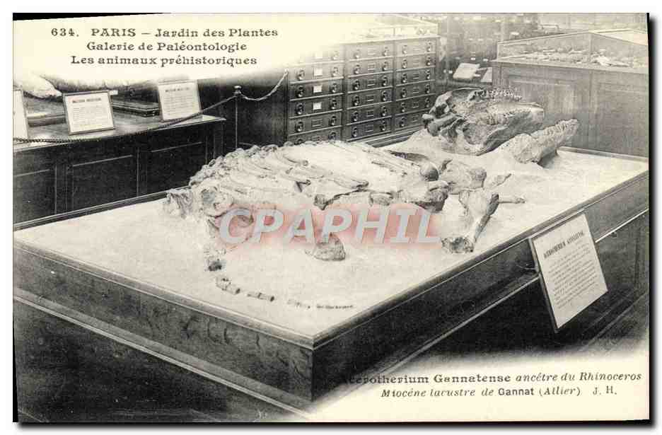 PARIS – Jardin des Plantes – Galerie de Paléontologie — J. Hauser, photo-edit. Paris