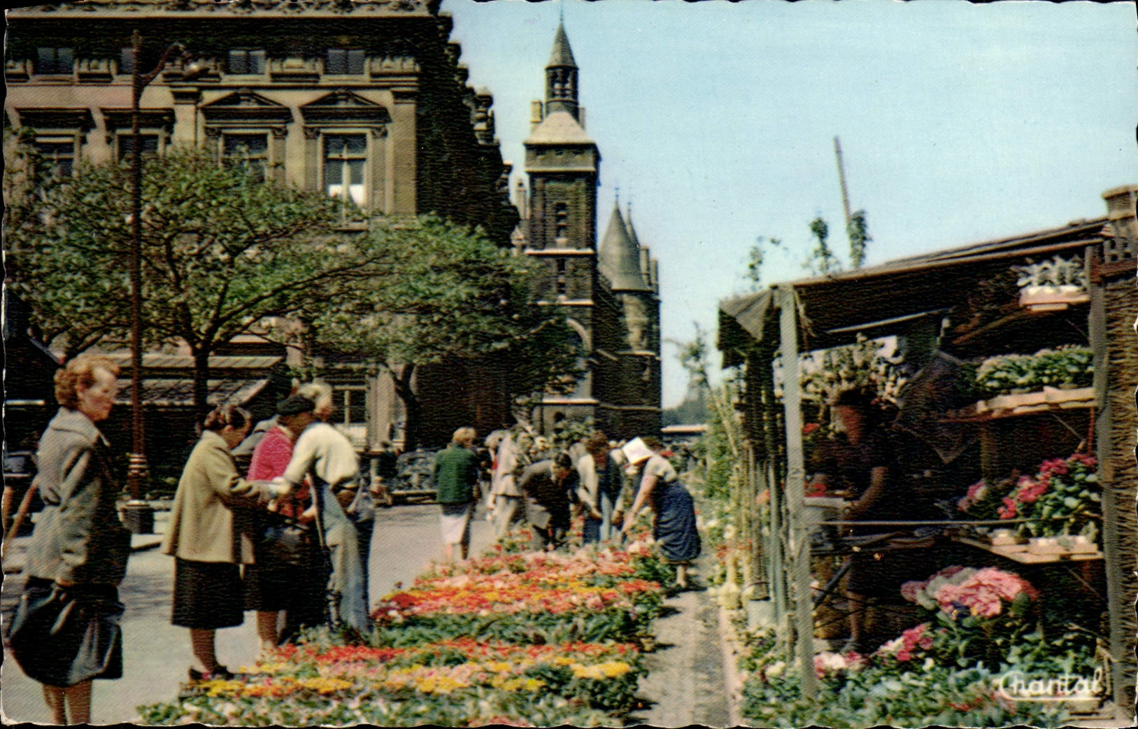 CPM Paris La Quai aux Fleurs 