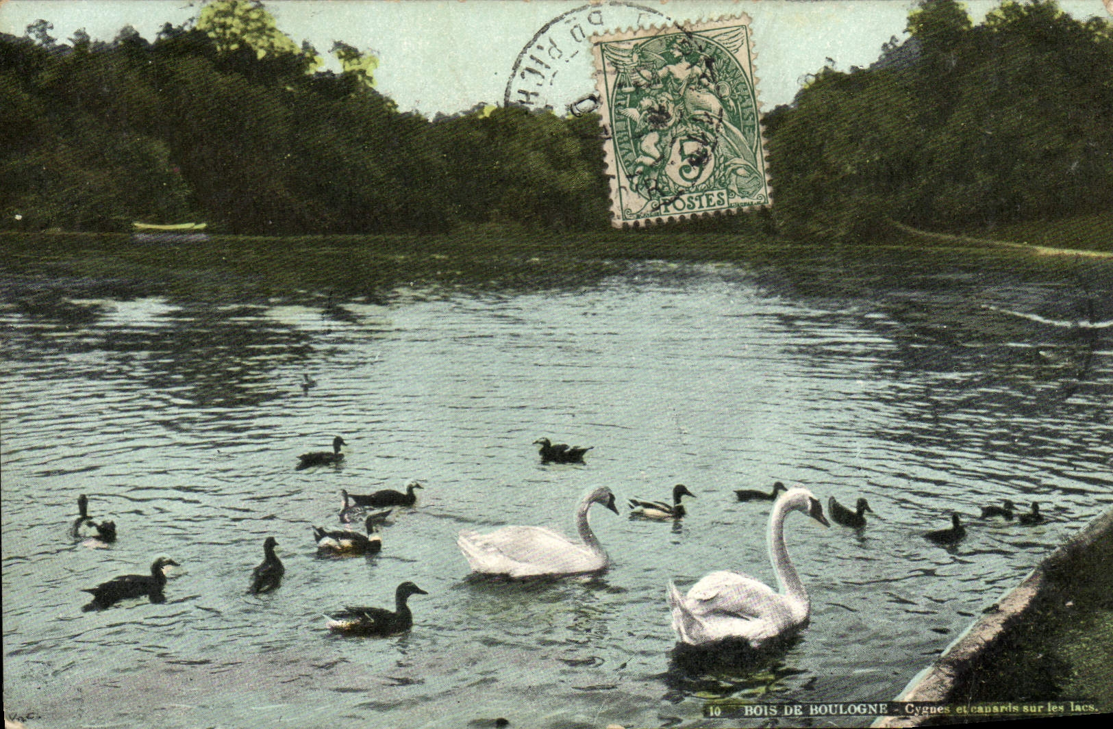 CPA Bois de Boulogne Cygnes et canards sur les lacs Cygne