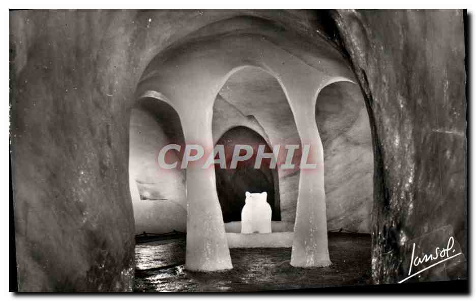 CPM Chamonix Le Montenvers Ait La Grotte De La Mer De Glace L'ours gardin de la grotte