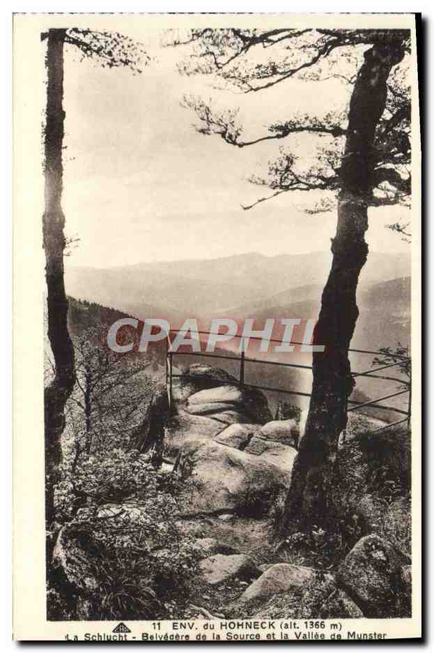 CPA Environs du Hohneck La Schlucht Belvedere de la source et la vallee du Munster 