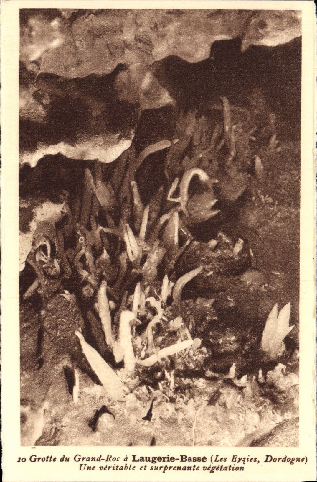 Grotte du Grand-Roc à Laugerie-Basse — Les Eyzies, Dordogne — CPAPHIL n°10
