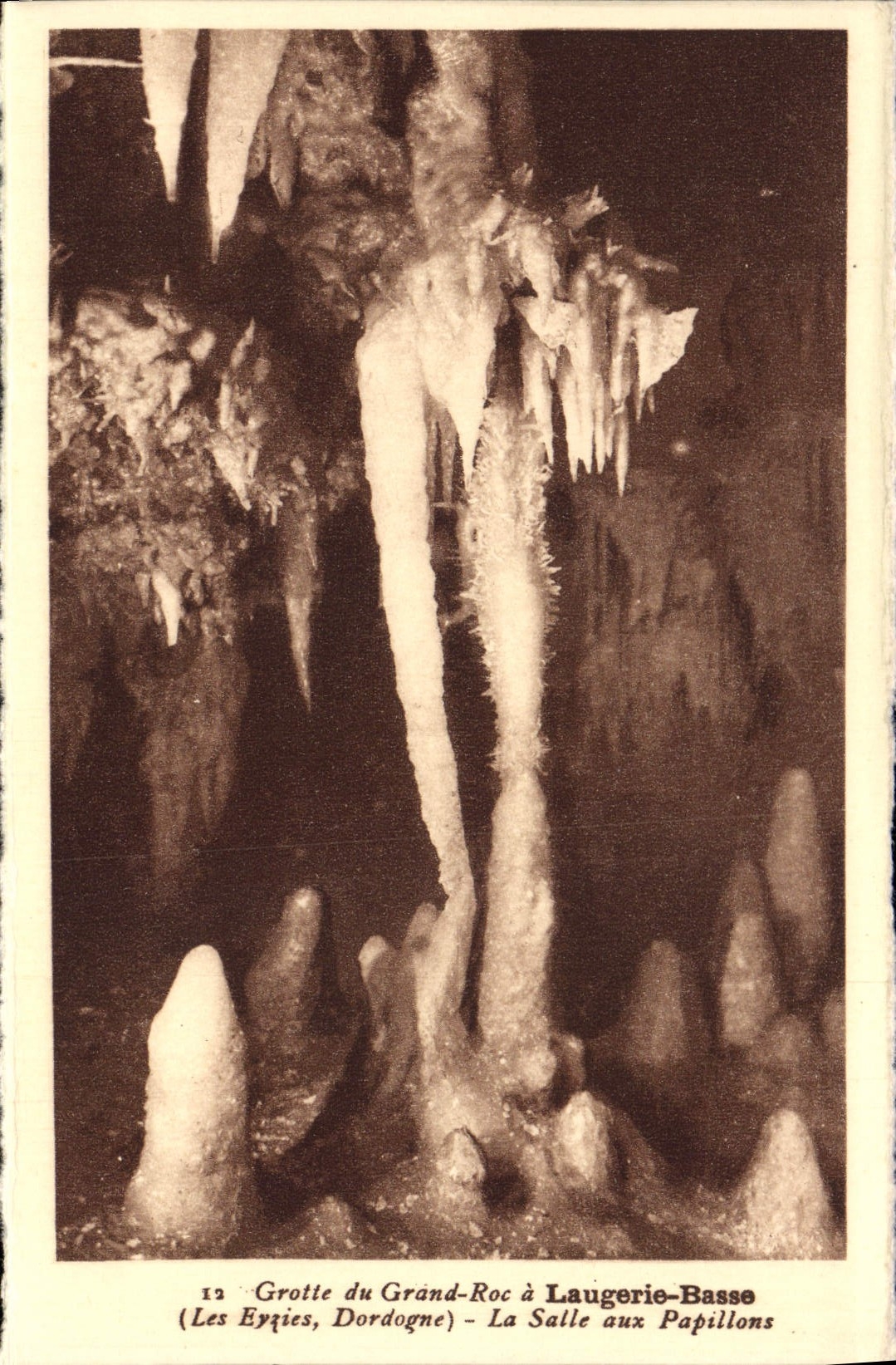 Grotte du Grand-Roc à Laugerie-Basse — La Salle aux Papillons — (Les Eyqies, Dordogne)