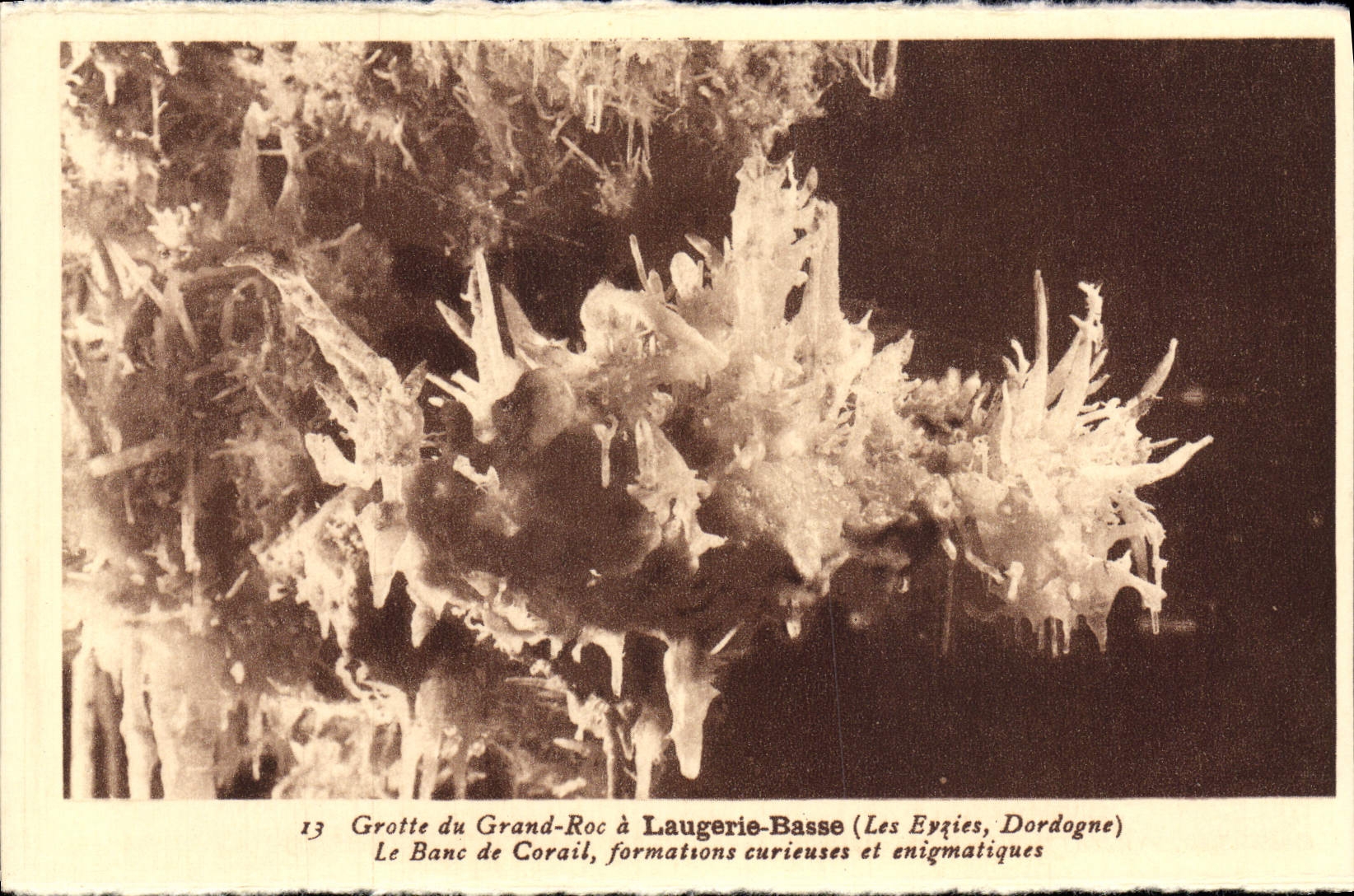 Grotte du Grand-Roc à Laugerie-Basse (Les Eyzies, Dordogne) — Le Banc de Corail, formations curieuses et enigmatiques — n°13