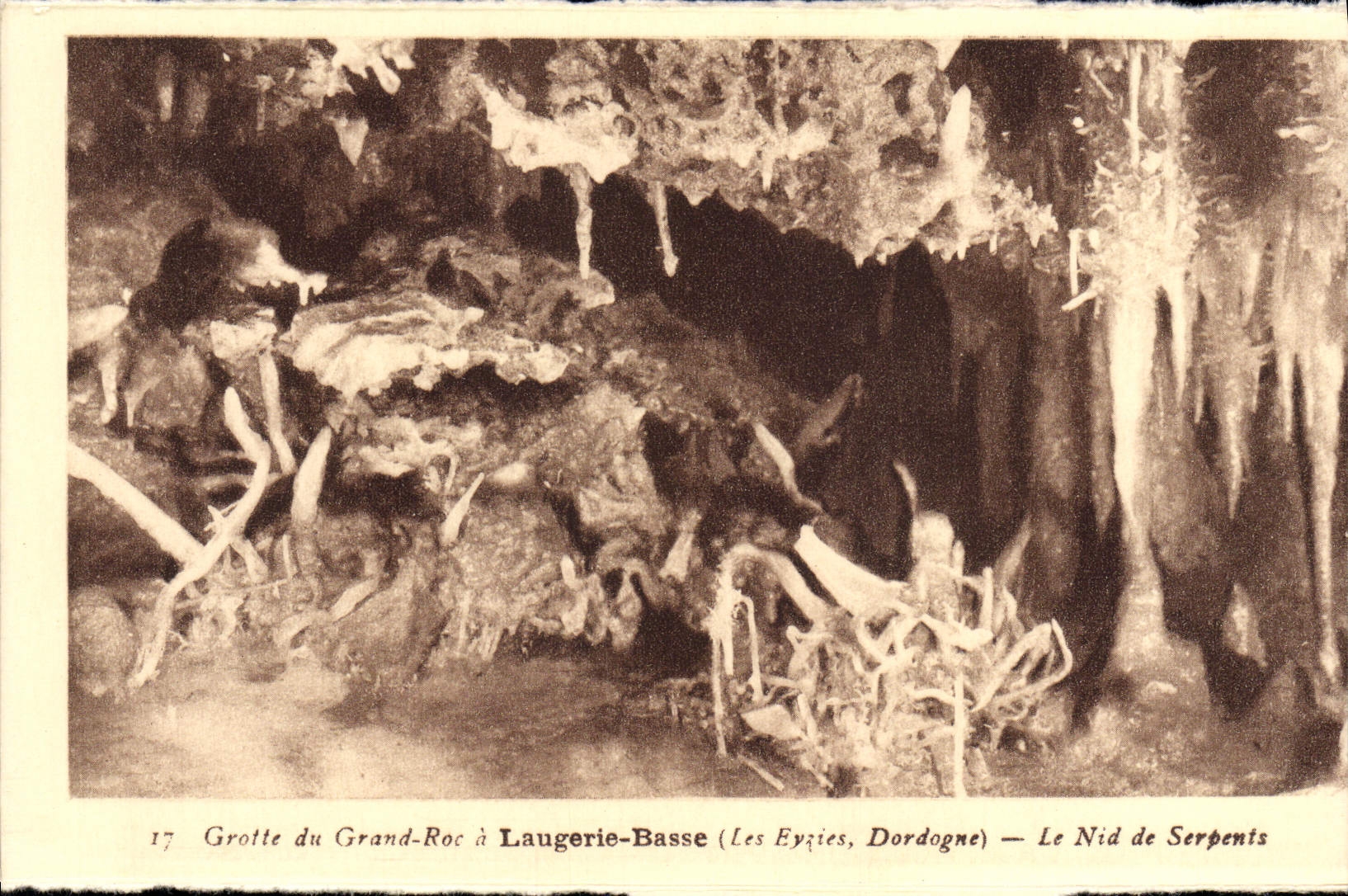 Grotte du Grand-Roc à Laugerie-Basse (Les Eyzies, Dordogne) — Le Nid de Serpents