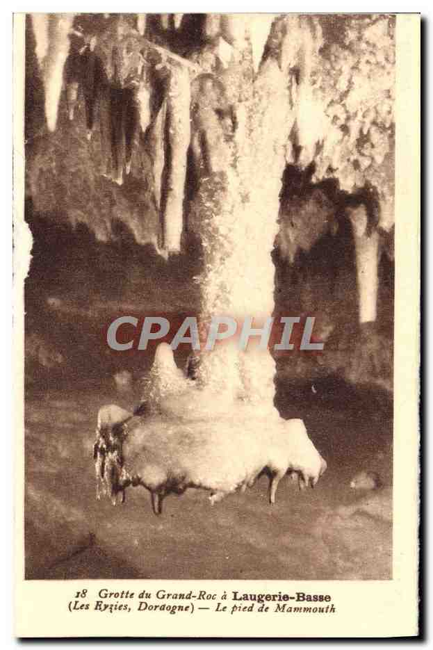 Höhle von Grand-Roc in Laugerie-Basse — Les Rygies, Dordogne — Fuß des Mammuts — n°18