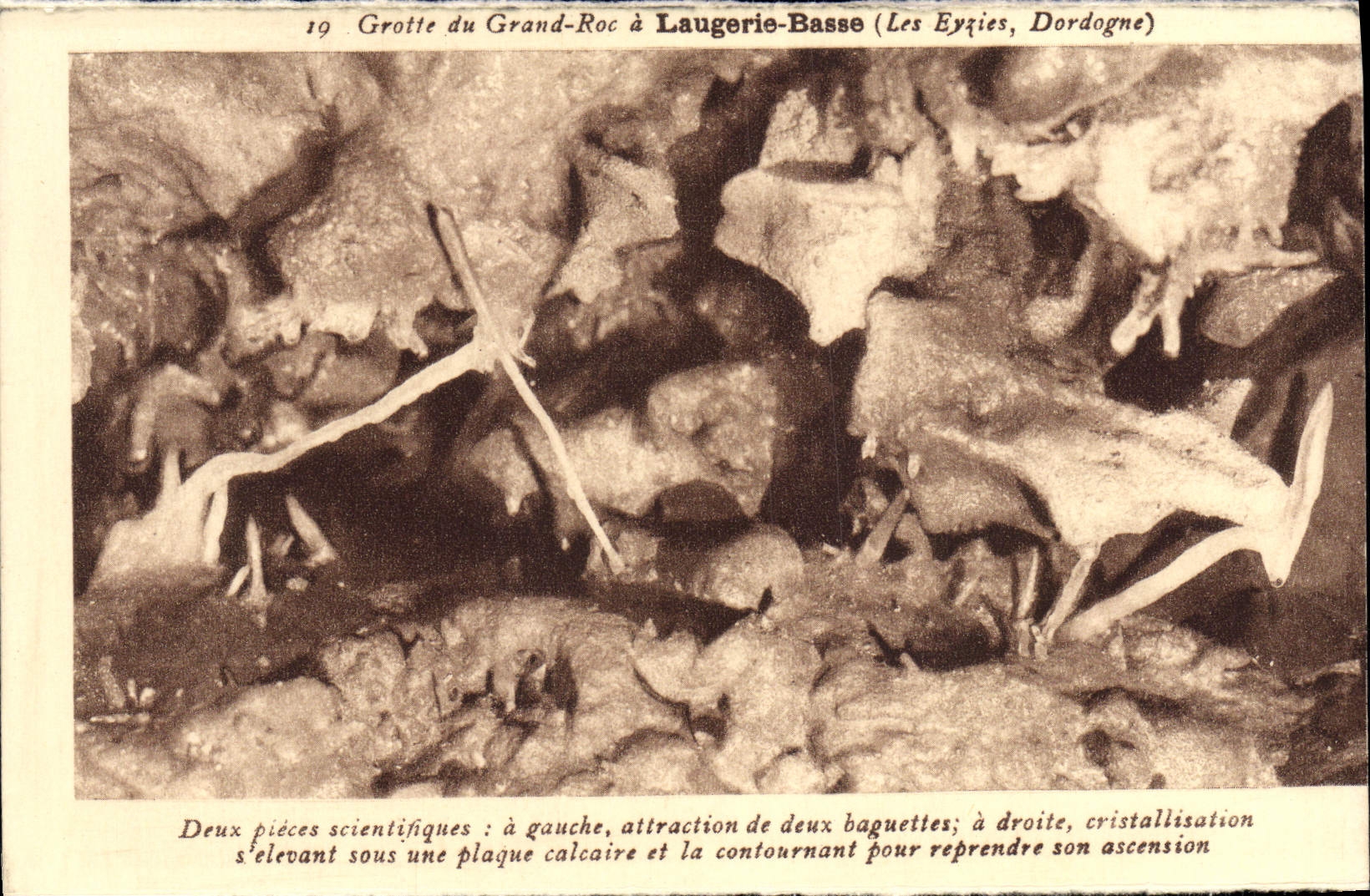 Grotte du Grand-Roc à Laugerie-Basse (Les Eyzies, Dordogne) — deux pièces scientifiques — CPAPHIL n°19