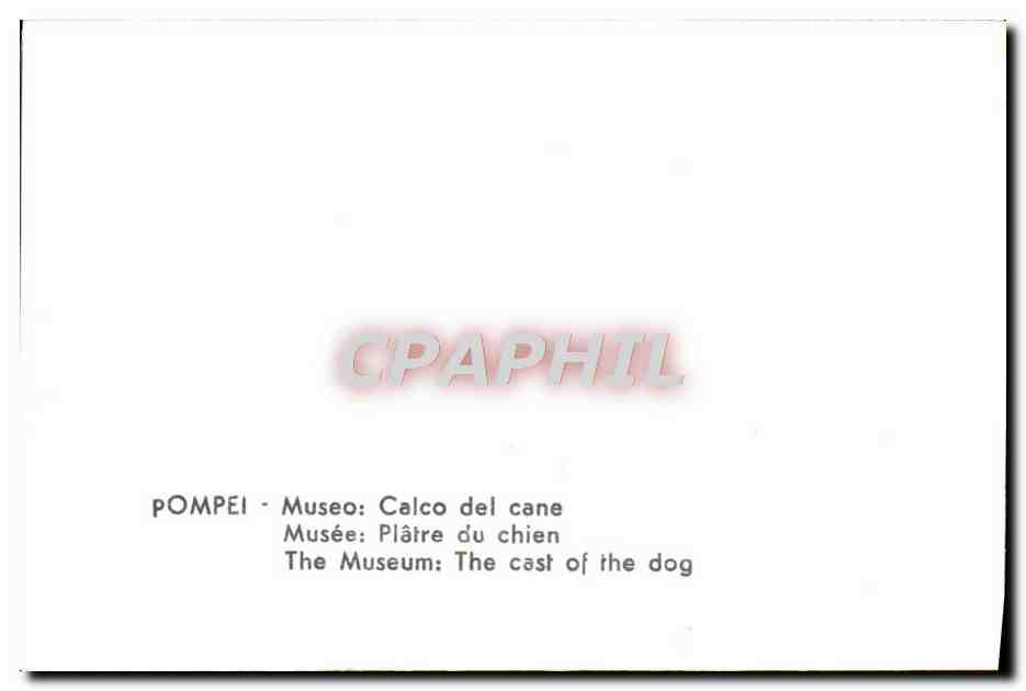 CPM Pompei Museo Calco del Cane Chien — Rückseite