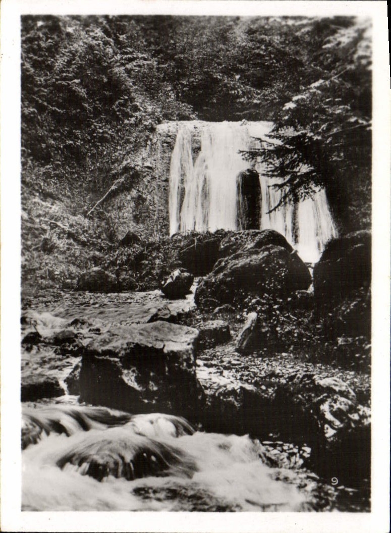 Chute d'eau dans une forêt — série 9 — éditeur inconnu - Recto