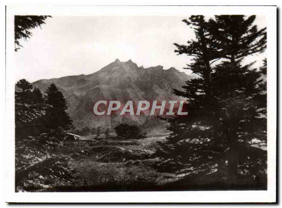 Paysage montagneux — vue de montagnes et forêt — CPAPHIL n°7 - Anverso