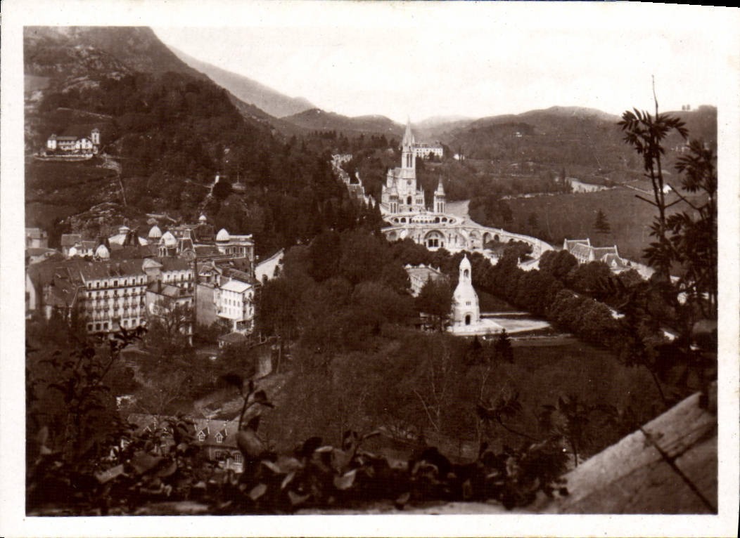 CPM Lourdes La basilique vue du chateau fort