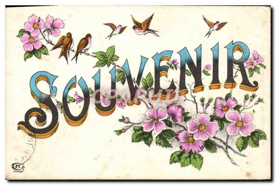 CPA Fantaisie Fleurs Souvenir 