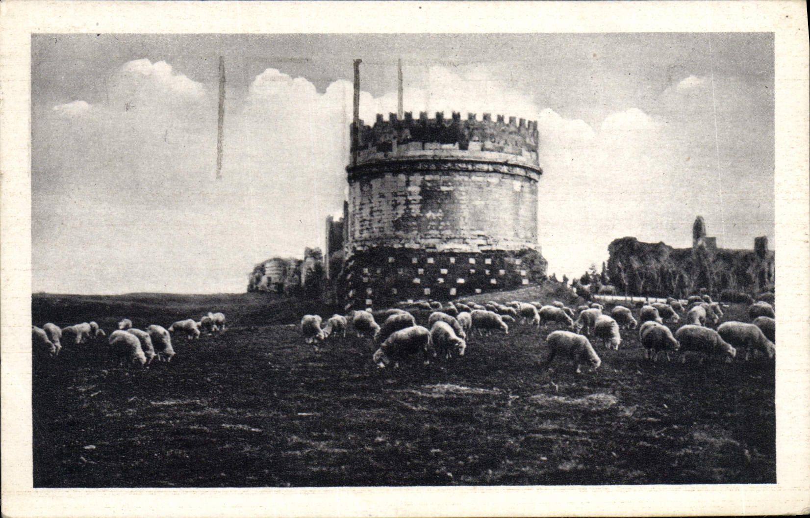 CPA Roma Tomban di Cecilia Matella in Via appia Moutons