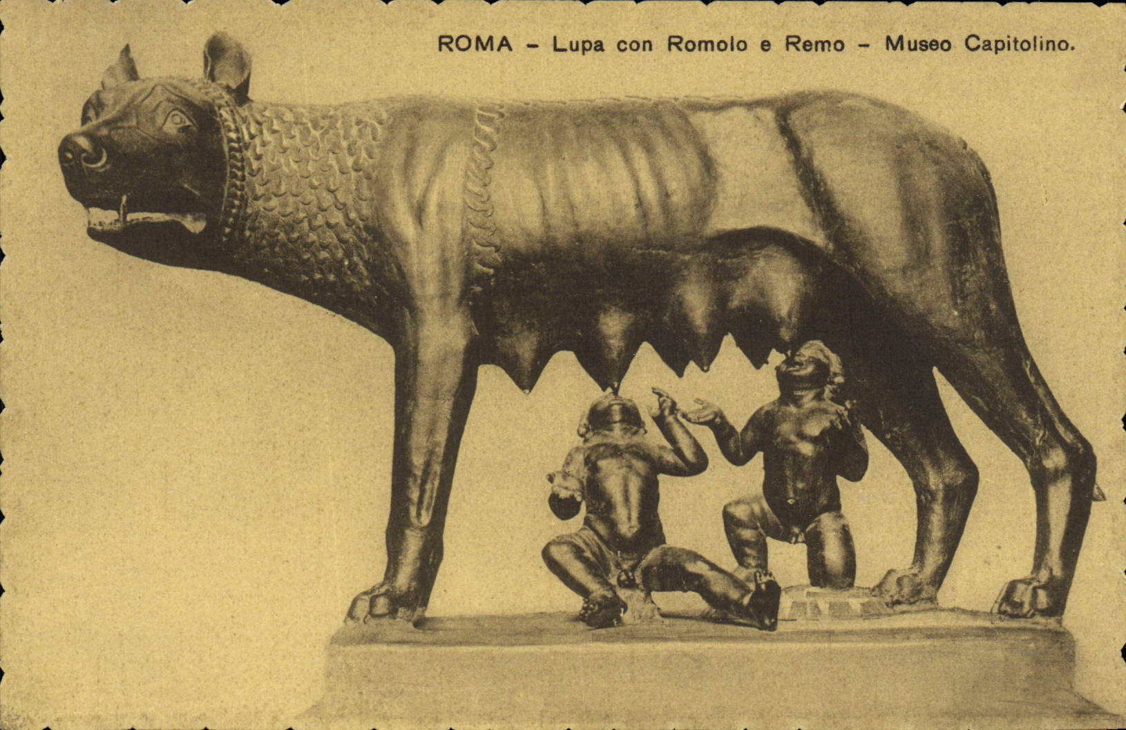 CPA Roma Lupa con Romolo e Remo Museo Capitolino Loup Louve