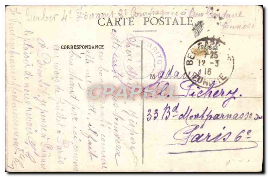 CPA Tunisie Chameaux Caravane arrivant au Bordj — Back
