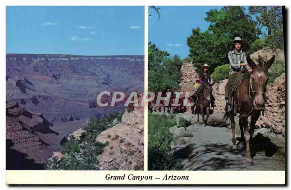 Grand Canyon – Arizona — Deux vues du canyon avec les mules sur le sentier des Anges — éditeur Roben Co.