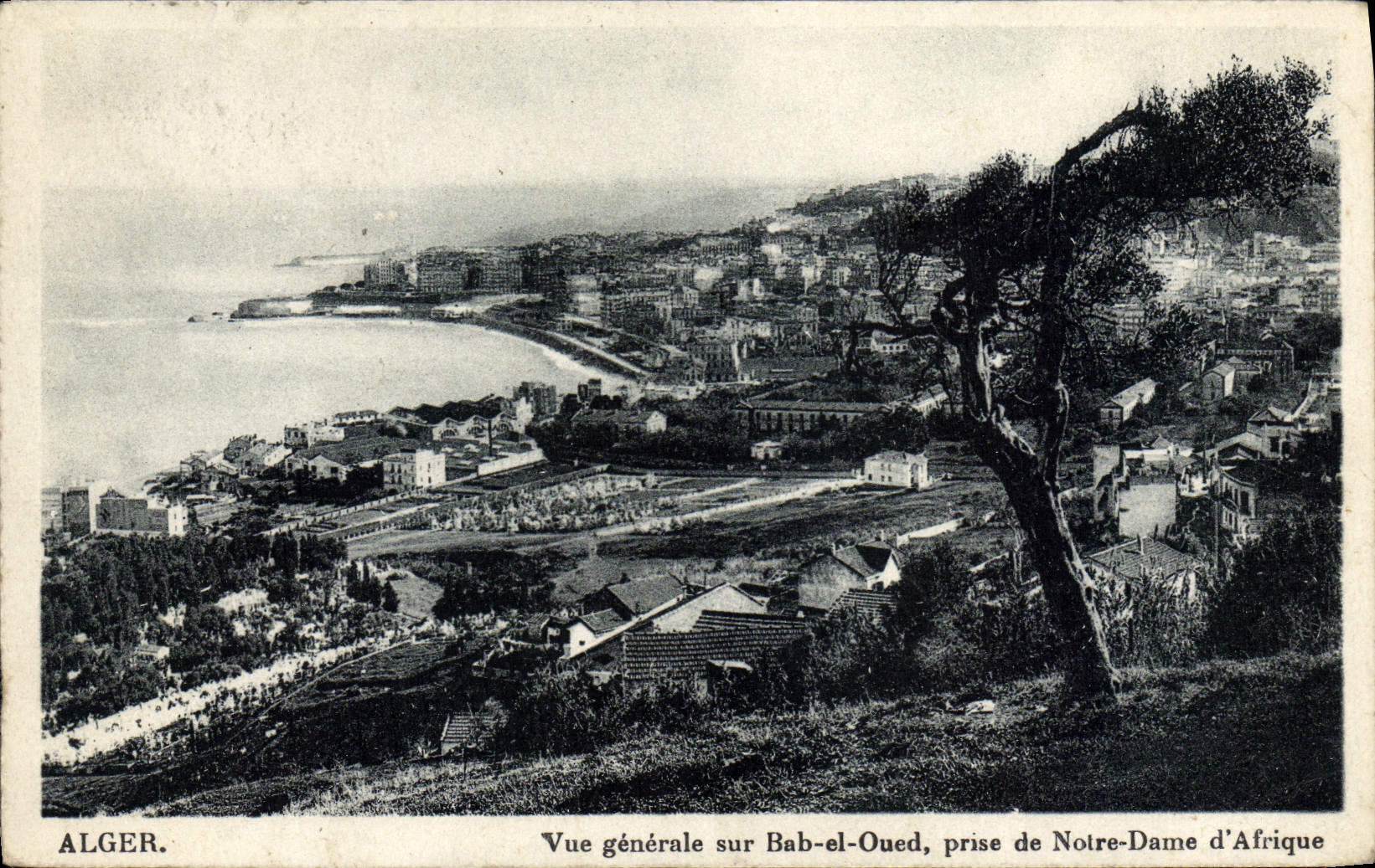 CPA Alger Vue Generale Sur Bab El Oued prise de Notre Dame d'Afrique 