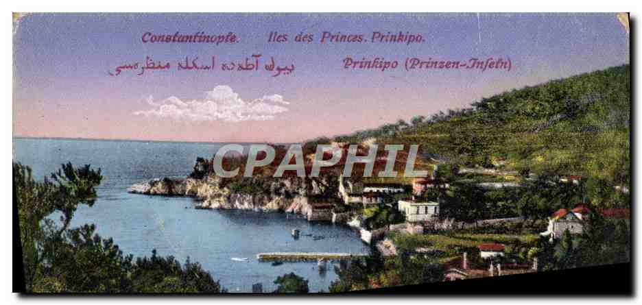 CPA Constantinople Iles Des Princes Prinkipo