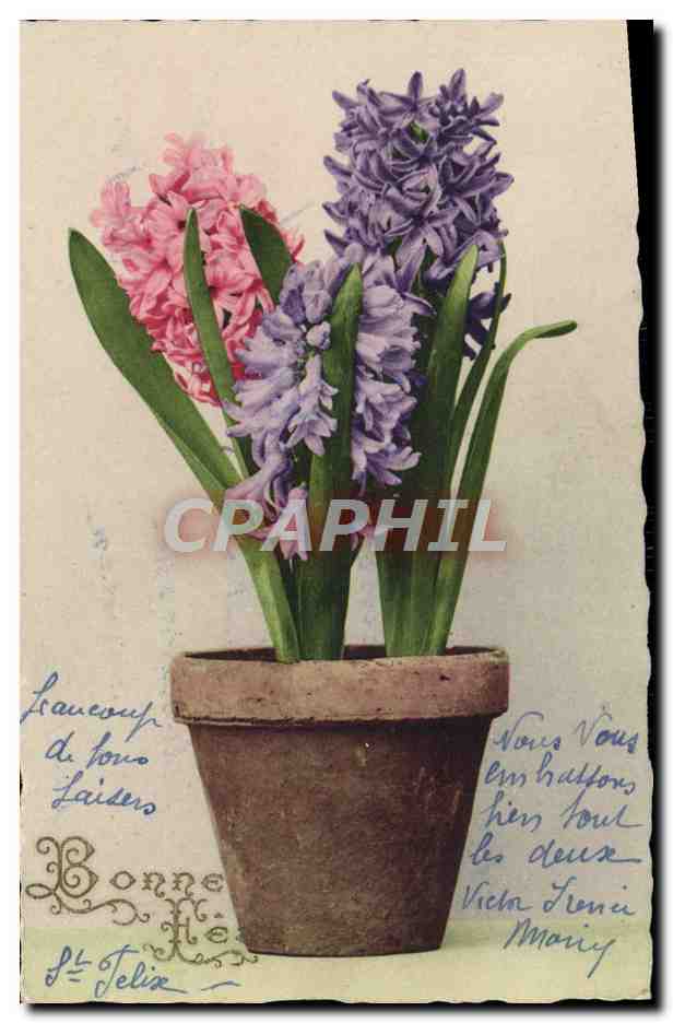 CPA Fantaisie Fleurs