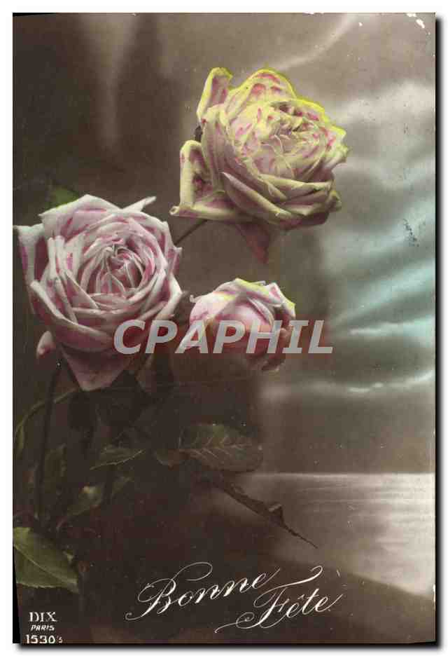 CPA Fantaisie Fleurs Roses