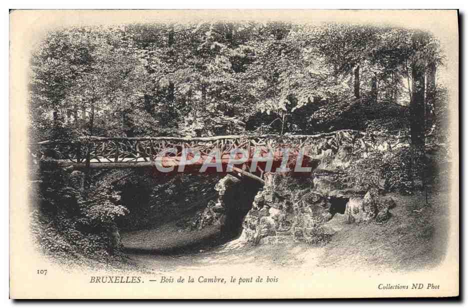 CPA Bruxelles Bois de la Cambre le Pont de Bois
