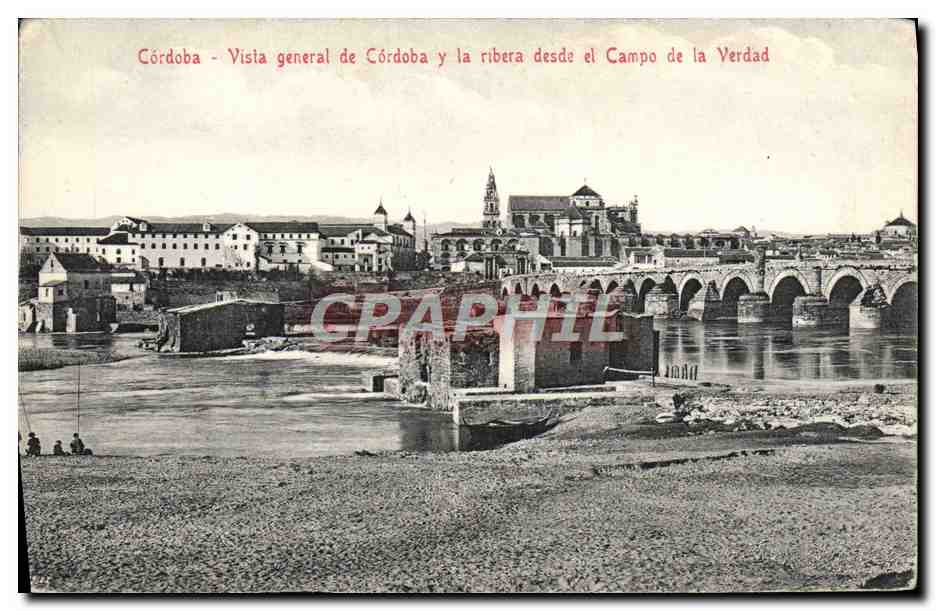 CPA Cordoba Vista General de Cordoba la Ribera le Campo de la VErdad