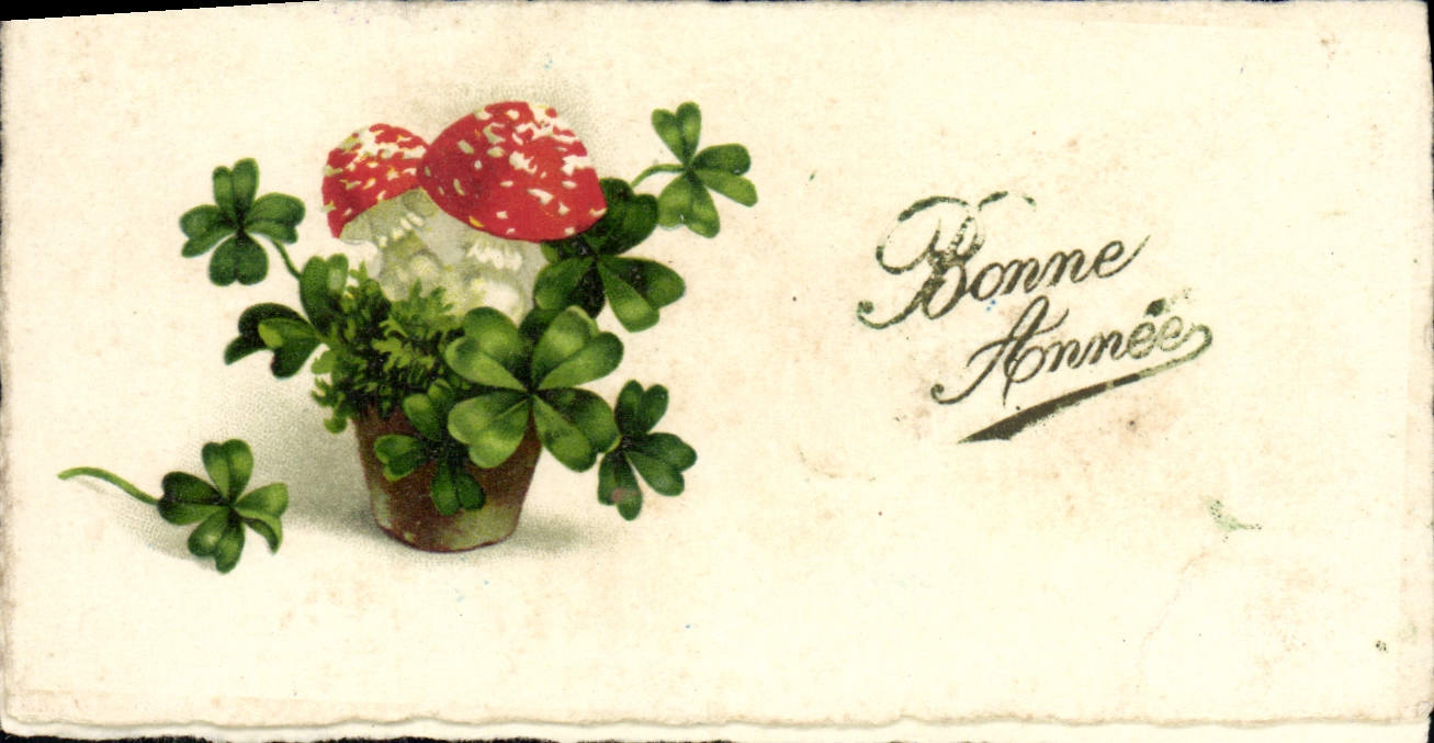 CPA Fantaisie Fleurs Trefle Champignon