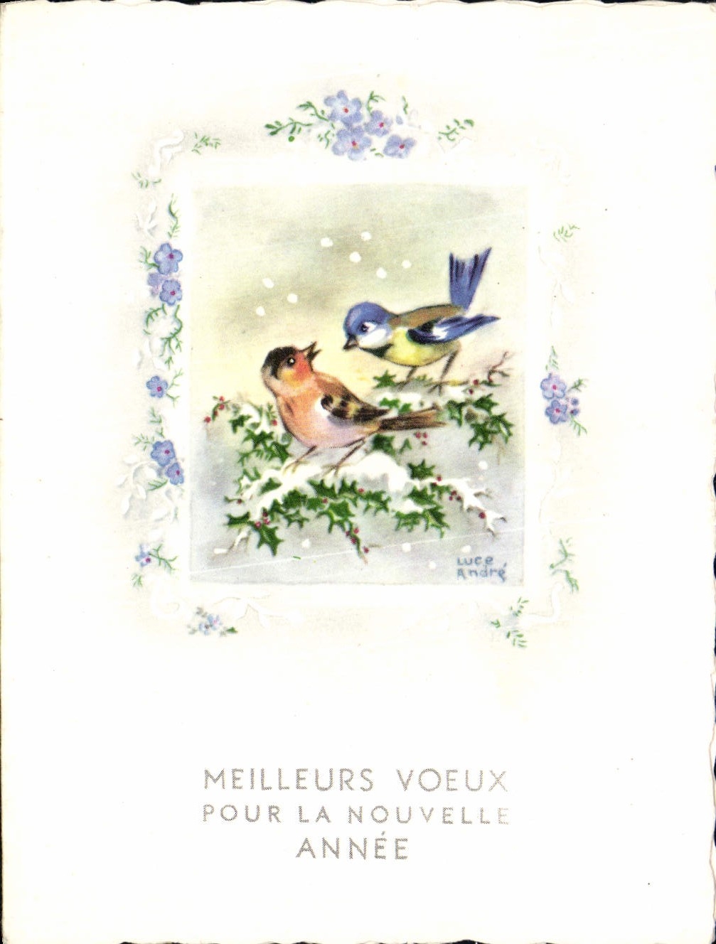 CPA Fantaisie Bonne annee Oiseaux