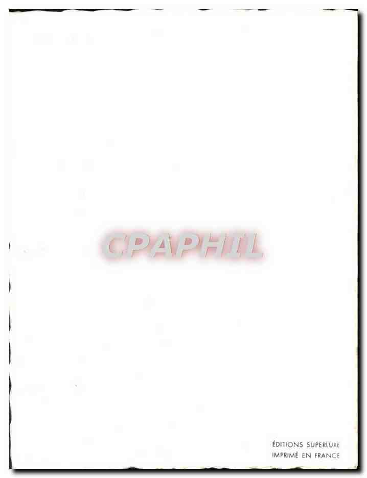CPA Fantaisie Bonne annee Oiseaux — Rückseite