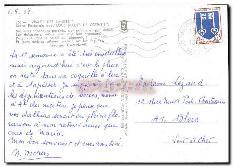 CPM Visage Des Landes Scene pastorale avec Lous Becuts de Countis Folklore Moutons — Rückseite
